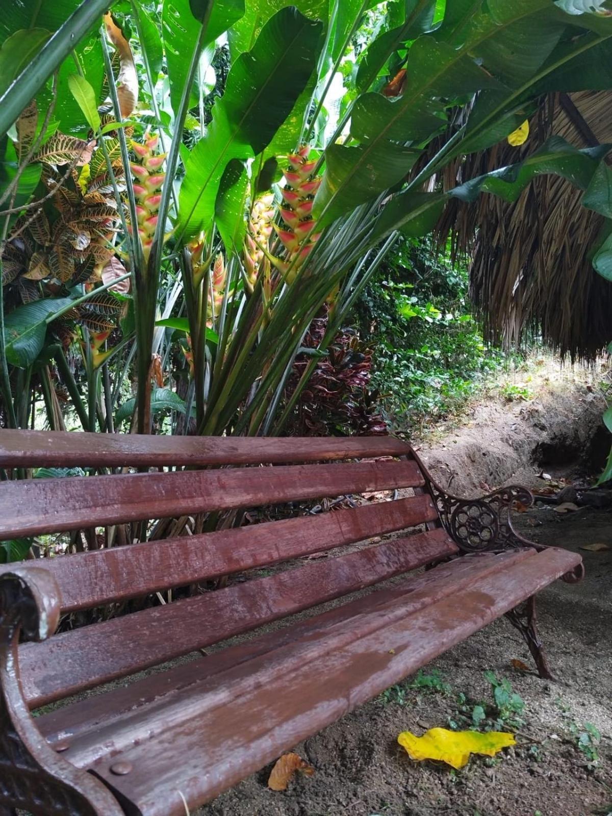 Ecocabanas Diosa Jaguar Tayrona La Esmeralda  Zimmer foto