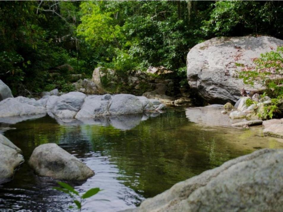 Ecocabanas Diosa Jaguar Tayrona La Esmeralda  Exterior foto